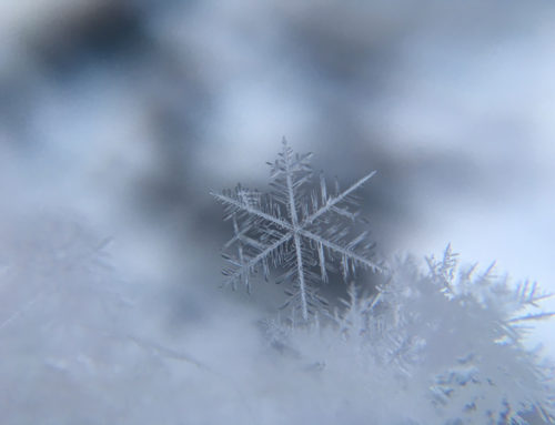 Does the Weather Affect the Quality of a Concrete Pour?